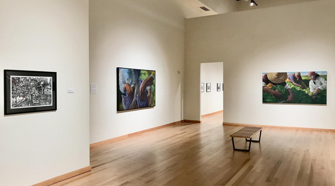University Gallery 