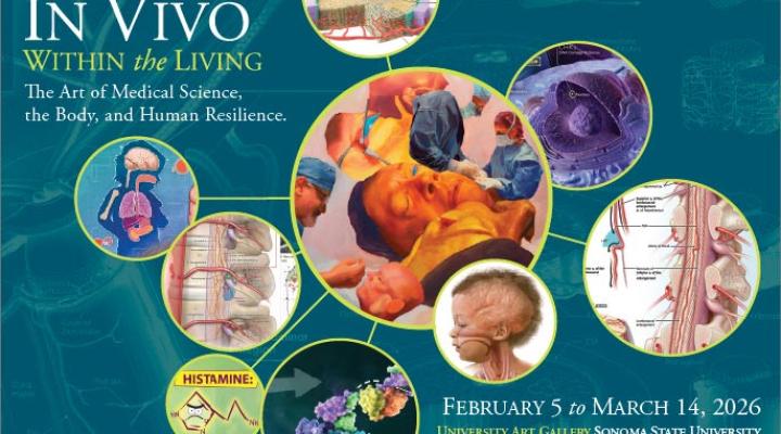 in vivo exhibition graphic