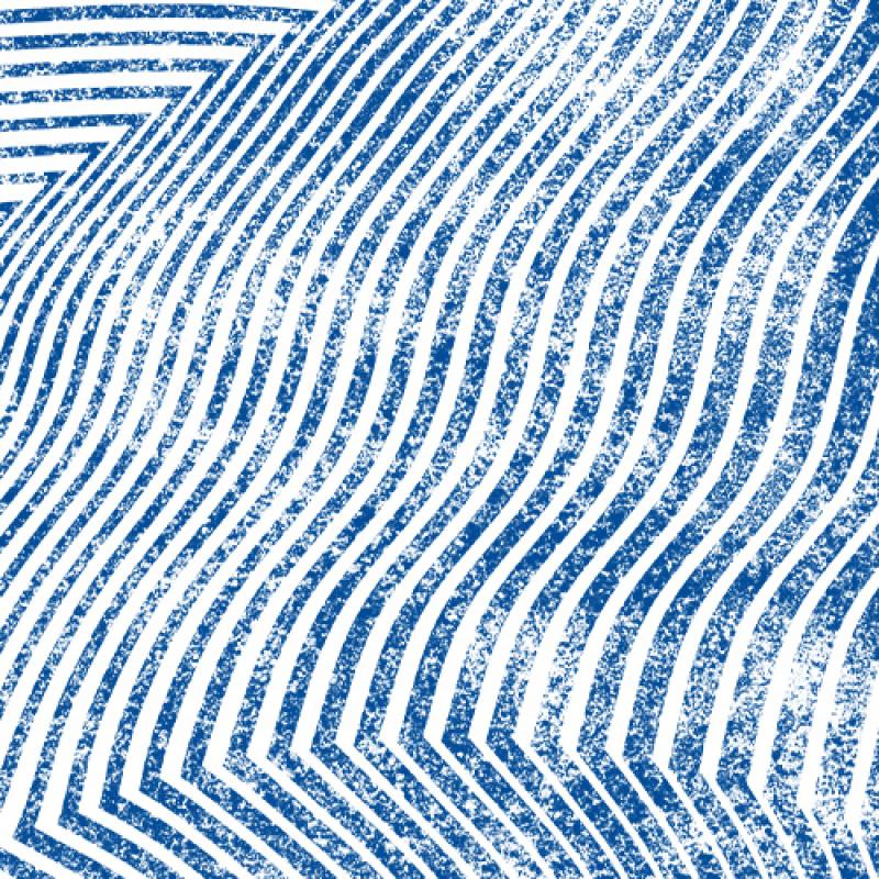 SSU Blue Waves SSU Blue Waves