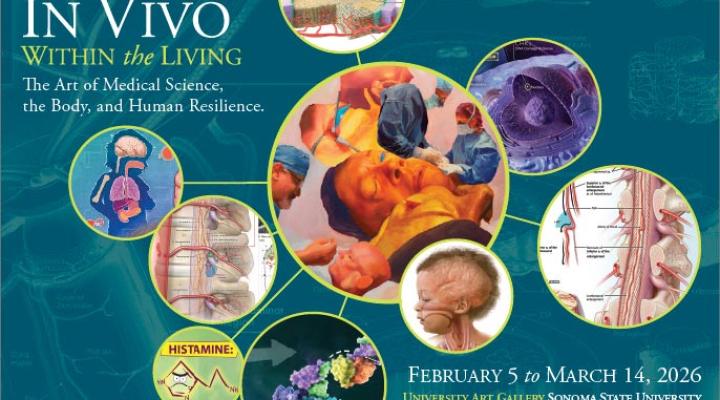 in vivo exhibition graphic